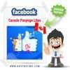 Buy Canada Facebook Page Likes