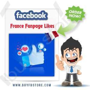 Buy Facebook France Page Likes